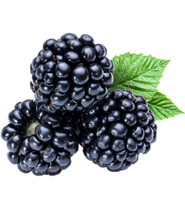 BLACKBERRIES